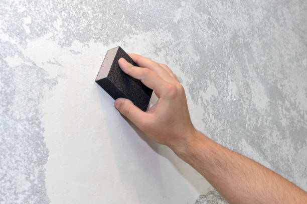 Best Mold Prevention Services  in Willowick, OH