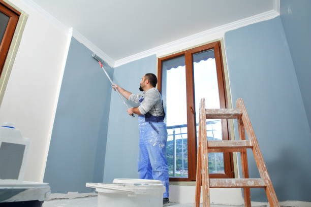 Best Mold Remediation for Vacation Homes  in Willowick, OH