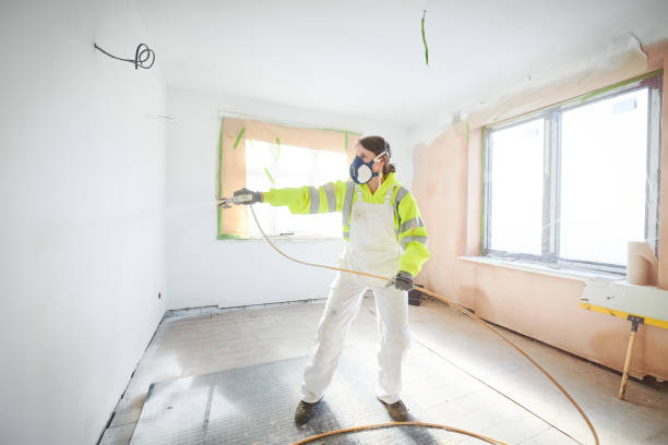 Best Black Mold Removal  in Willowick, OH