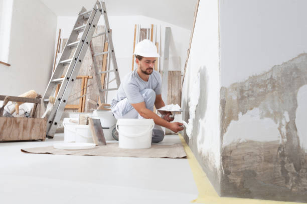 Professional Mold Removal in Willowick, OH