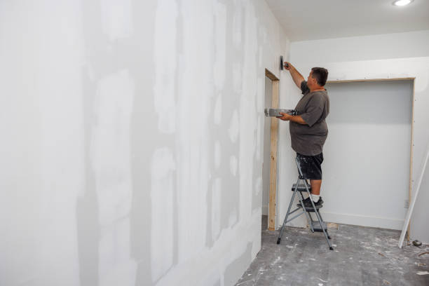 Dehumidification Services in Willowick, OH