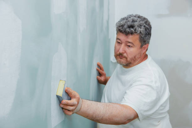Best Mold Removal for HVAC Installations  in Willowick, OH