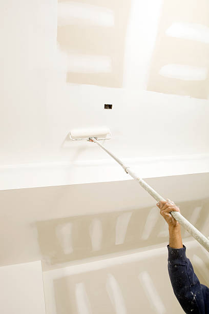 Best Black Mold Removal  in Willowick, OH