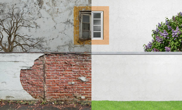 Best Emergency Mold Remediation  in Willowick, OH