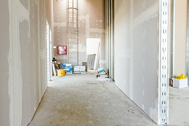 Best Industrial Mold Remediation  in Willowick, OH