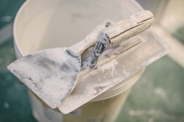 Best Commercial Mold Inspection  in Willowick, OH